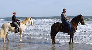 oceanridehorses